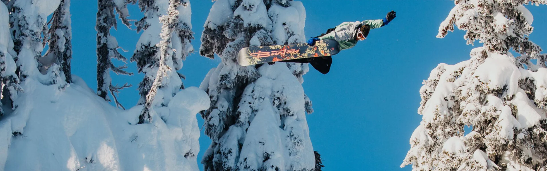 Master Every Edge and Element