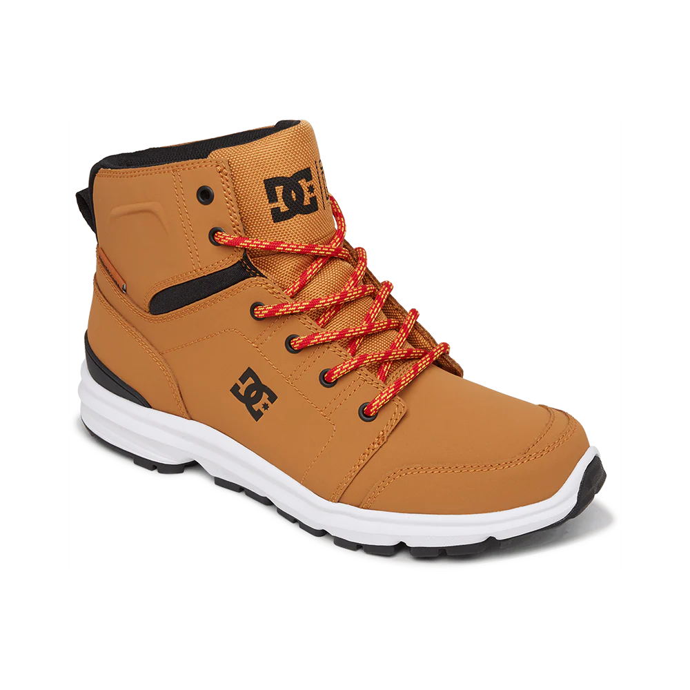 DC Shoes - Torstein - Image 16