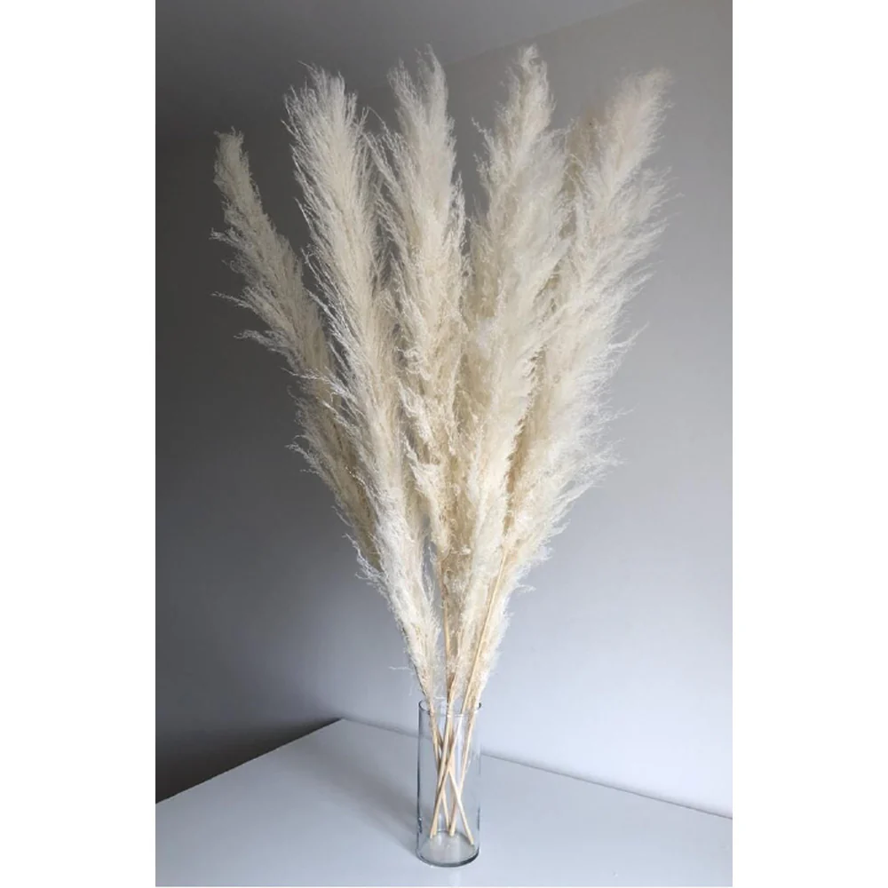 Milan Pampas