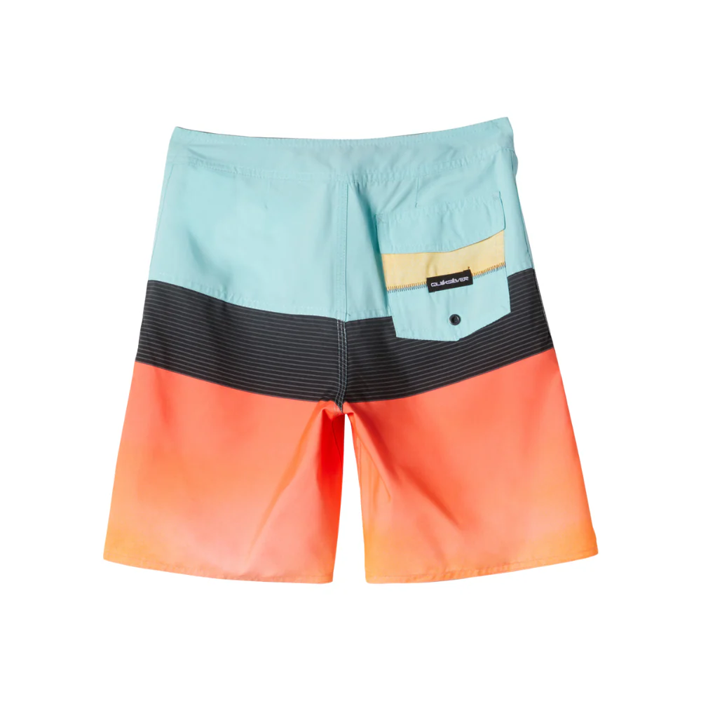 Quiksilver Everyday Panel 17" Boardshort for Boys 8-16 - Image 4