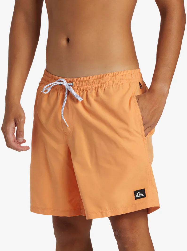 Quiksilver Men's Everyday Solid Volley 17" - Image 28