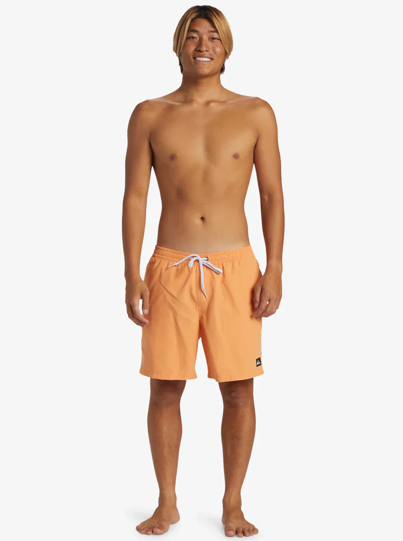 Quiksilver Men's Everyday Solid Volley 17" - Image 29