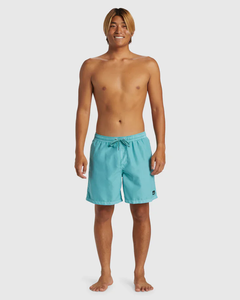 Quiksilver Men's Everyday Surfwash Volley 17" Shorts - Image 2