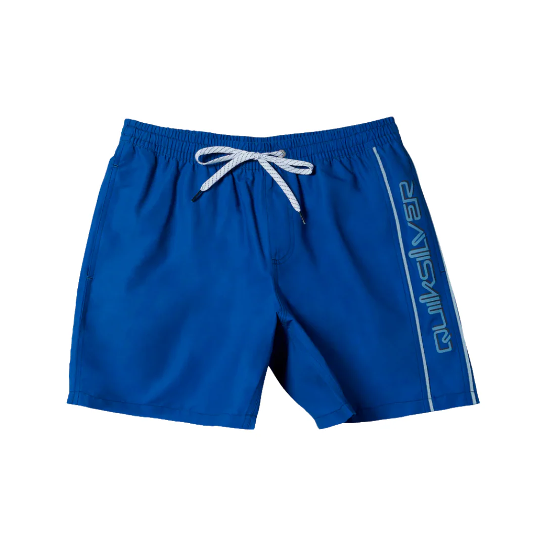 Quiksilver Men's Everyday Vert Volley 2 17NB Shorts