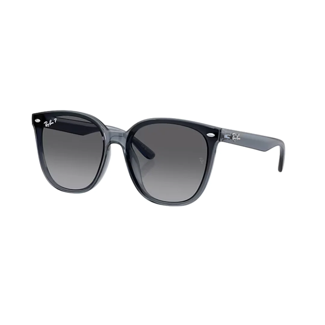 Ray Ban RB4423D Sunglasses